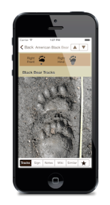 iTrack Wildlife App Screenshot Black Bear Track