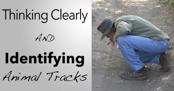 Thinking-Clearly-&-Track-ID