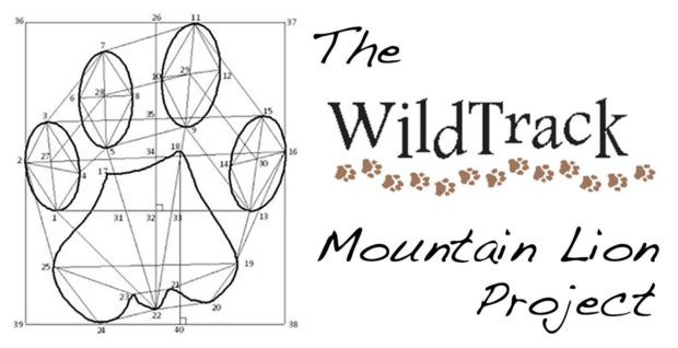 WildTrack Mountain Lion Project