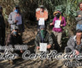 Ventura Tracker Certification 11/8/2020